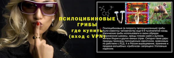 a pvp Белокуриха