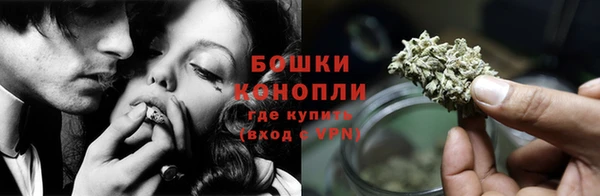 молекула духа Белоозёрский