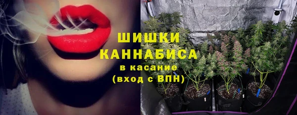 молекула духа Белоозёрский