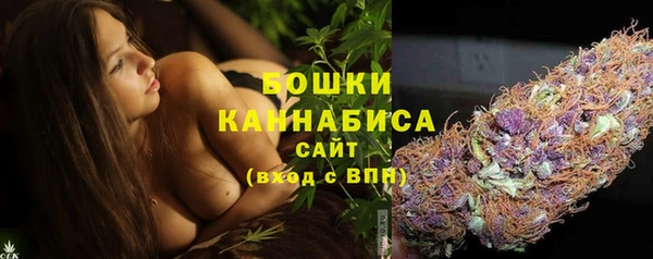 молекула духа Белоозёрский