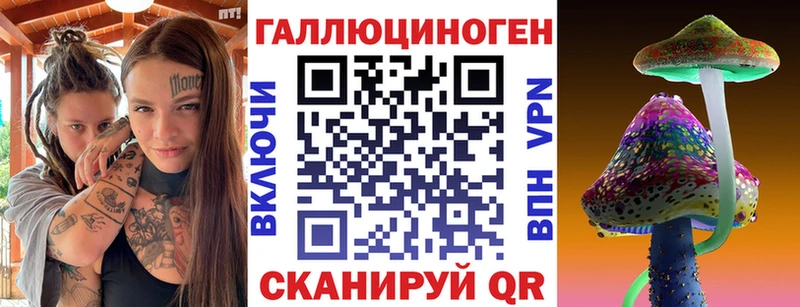 наркота  Коммунар  Галлюциногенные грибы Cubensis 